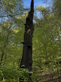 Fotografie z Bernd Bluttner na trase