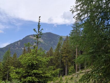 Foto von Gertraud entlang der Tour