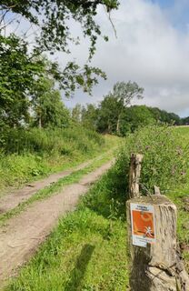Kneipp Weg Gelassenheit Hassel
