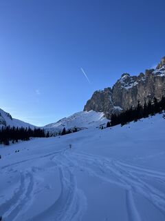 Фото с сайта Heikoala во время экскурсии