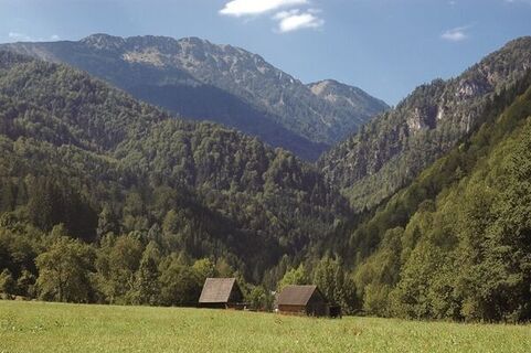 Maiereck Nordseite nahe der Spitzenbachklamm bei St. Gallen