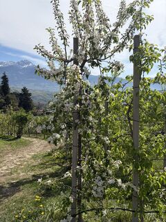 Photo de Gerald Rohrbacher le long du parcours