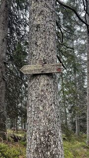 Photo de Alexander Salem le long du parcours