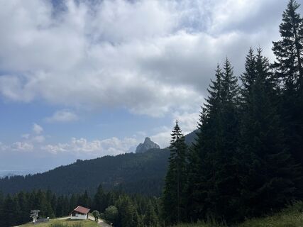 Photo de Anna Andrzejewska le long du parcours