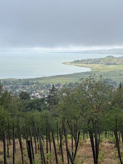 Photo de Németh Endre le long du parcours