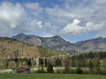 Fotografie z Denise Miller na trase