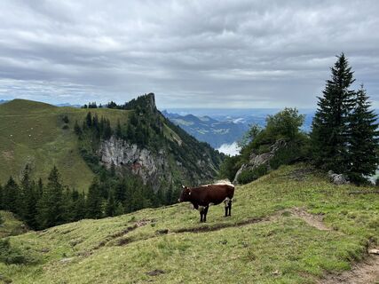 Photo de Leonarda Gauto-Feitl le long du parcours