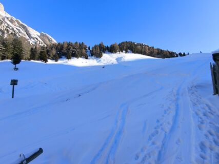 Foto de Nozzo a lo largo del recorrido