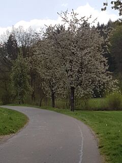 Wegeverlauf im Hergstbachtal