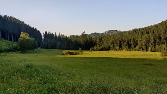 Fotografie z István Gábor 1 na trase