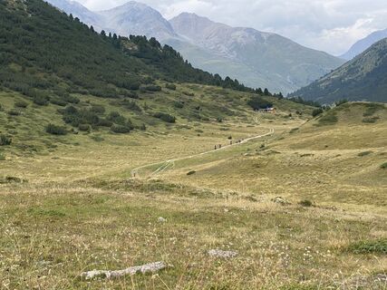 Fotografija s spletne strani Grossmann Esther na poti