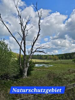 Fotografie z Angelika Gerung na trase