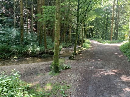 Photo de AJ le long du parcours