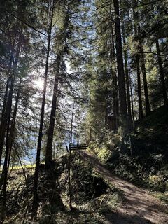 Foto von Babs Holz entlang der Tour