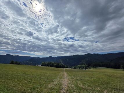 Photo de Michael Kammerer 2 le long du parcours