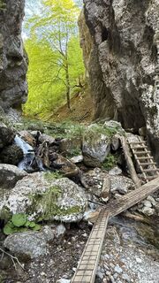 Photo de Gernot Gander le long du parcours