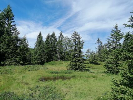 Foto von Turbinio entlang der Tour