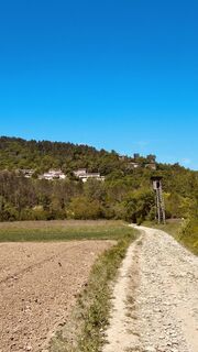 Photo de Edvard le long du parcours