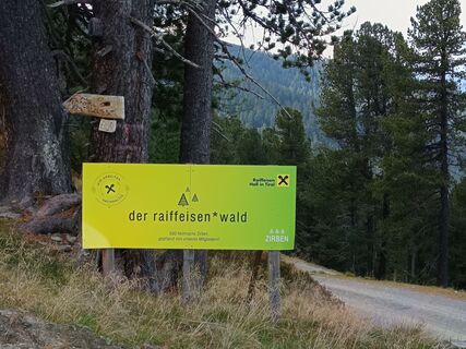 Photo from Silvia Kehl along the tour