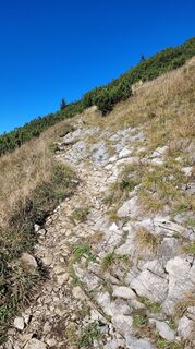 Foto von Madeleine Schumacher entlang der Tour