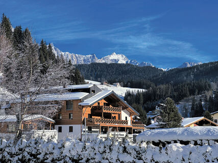 Ferienwohnungen Sonnenseite Filzmoos