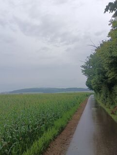 Fotografie z Marcus Dürr na trase