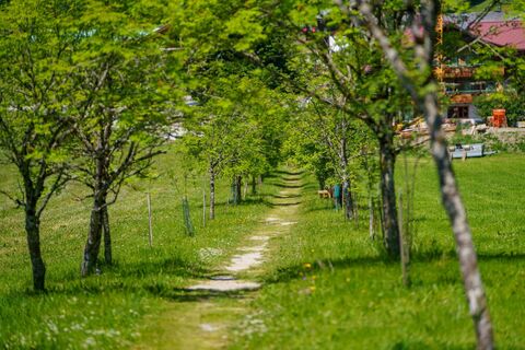 Panorama Allee Ramsau West