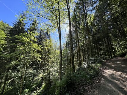 Fotografia z Stefan Rasberger na trase