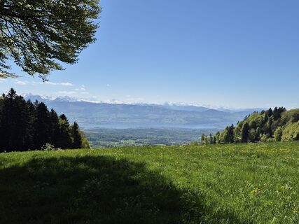 Fotografie z alinradu na trase