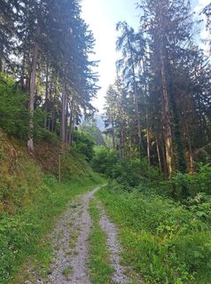 Zdjęcie z Ljubow Obidina wzdłuż trasy