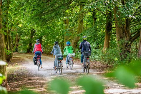 Steinhagen - Radfahren durch den Patthorster Wald