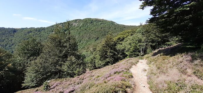 Zdjęcie z Bernard Piat wzdłuż trasy