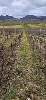 Zdjęcie z Wolfgang Riemer wzdłuż trasy