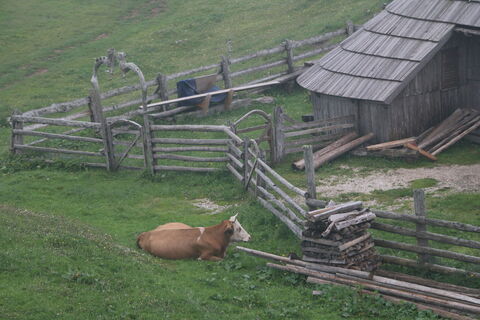 Foto von Andrew clarke entlang der Tour