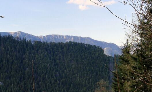 Foto von Utassy Tóth Johanna entlang der Tour