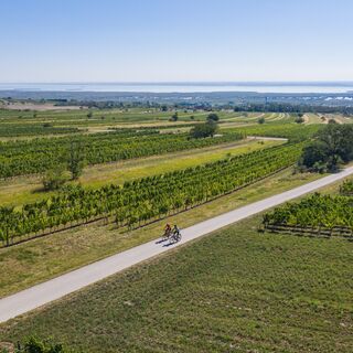 Neusiedler See