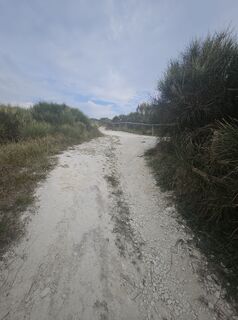 Photo de Eli le long du parcours