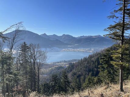 Fotografija s spletne strani Karl Hohenwarter na poti