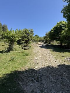 Foto de Ursula a lo largo del recorrido