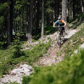 Mountainbiking auf dem Buckelwald Trail