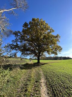 Fotografie de la Wolfgang Kuntner de-a lungul turului