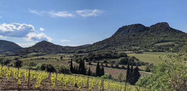 Oenorando Crozes – Mittelalterlicher Spaziergang 12 @ Gilles Delerue