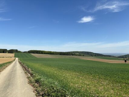 Foto från Brigitte Sagmeister under resans gång