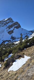 Kuva osoitteesta Bertl 1 matkan varrella