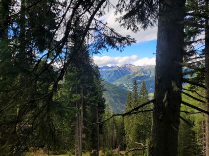 Foto von mmecki entlang der Tour