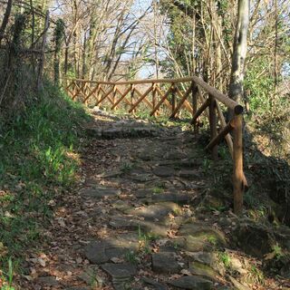Der erste Teil des Weges ist gepflastert