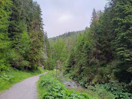 Foto von Žaneta Schelling entlang der Tour