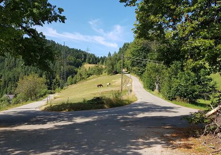 Schöngrund