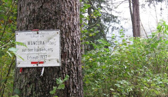 Aufstieg am Hans Wacura Steig