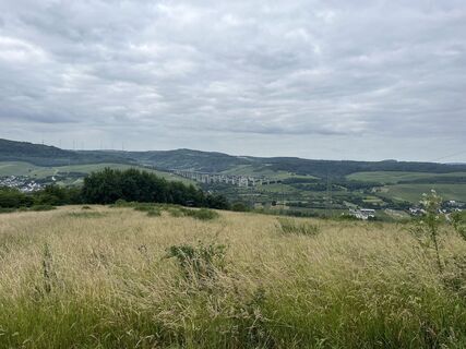 Photo de Martin Lorscheider le long du parcours